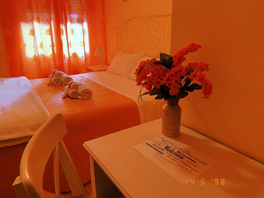 Vatican City Accommodation 로마 외부 사진